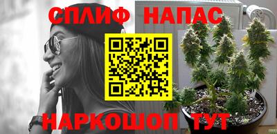 метамфетамин Тверь